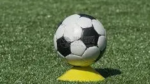 【甘肃药材全球出口，遍及18国】